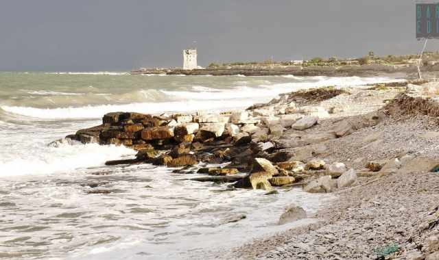 L'oasi di Torre Calderina: fra terra e mare un rifugio per piante e animali rari